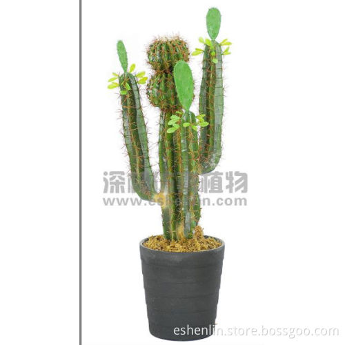 High quality artificial cactus plant